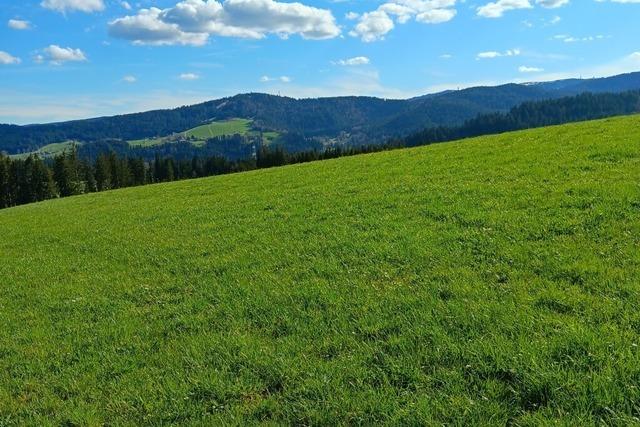 Breitnau strkt Schutz der Biotope