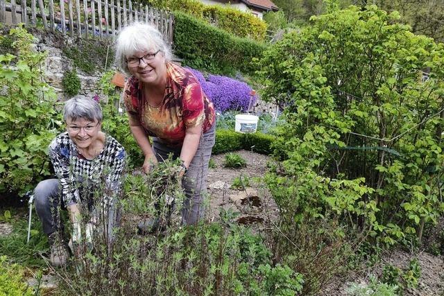 Bunte Blumen als Fest frs Auge