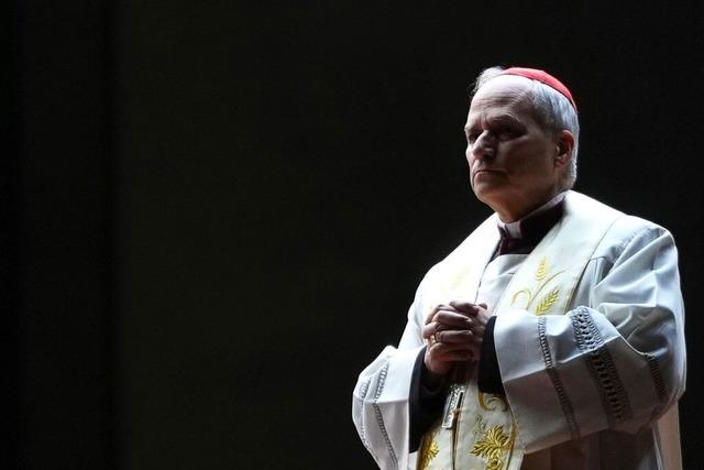 Wer ist Papst Leo XIV.? Der neue Papst ist Amerikaner - und Weltbrger