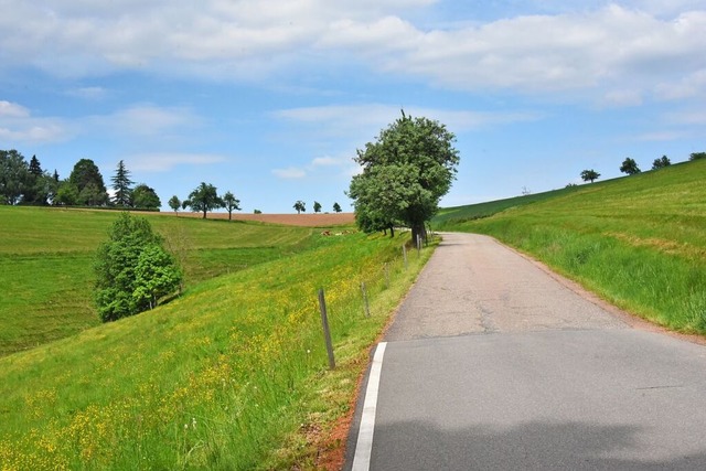 Die Gemeindeverbindungsstraße Allmendsberg in Freiamt wird ausgebaut. | Foto: Benedikt Sommer Die Gemeindeverbindungsstraße Allmendsberg in Freiamt wird ausgebaut. | Foto: Benedikt Sommer