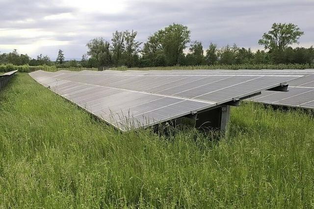 Regen und Muse sorgen fr schwaches Solar-Jahr
