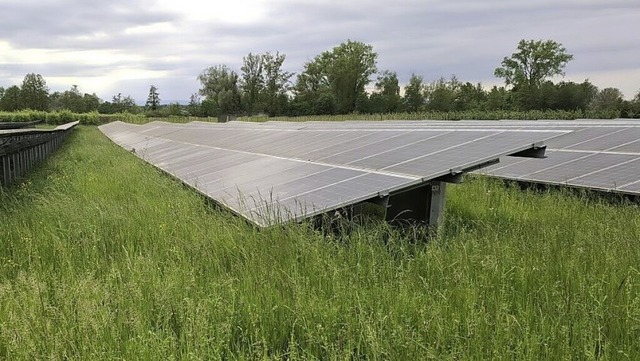 In Vogtsburg wird Solarstrom gewonnen. | Foto: Bürgergenossenschaft Solarpark Vogtsburg In Vogtsburg wird Solarstrom gewonnen. | Foto: Bürgergenossenschaft Solarpark Vogtsburg