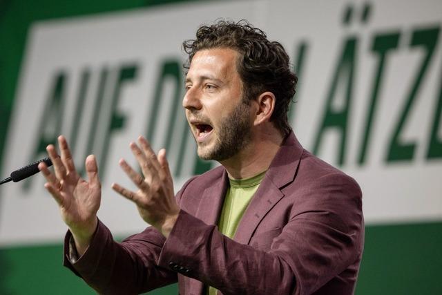 Grnen-Chef Banaszak kmpft fr AfD-Verbotsverfahren