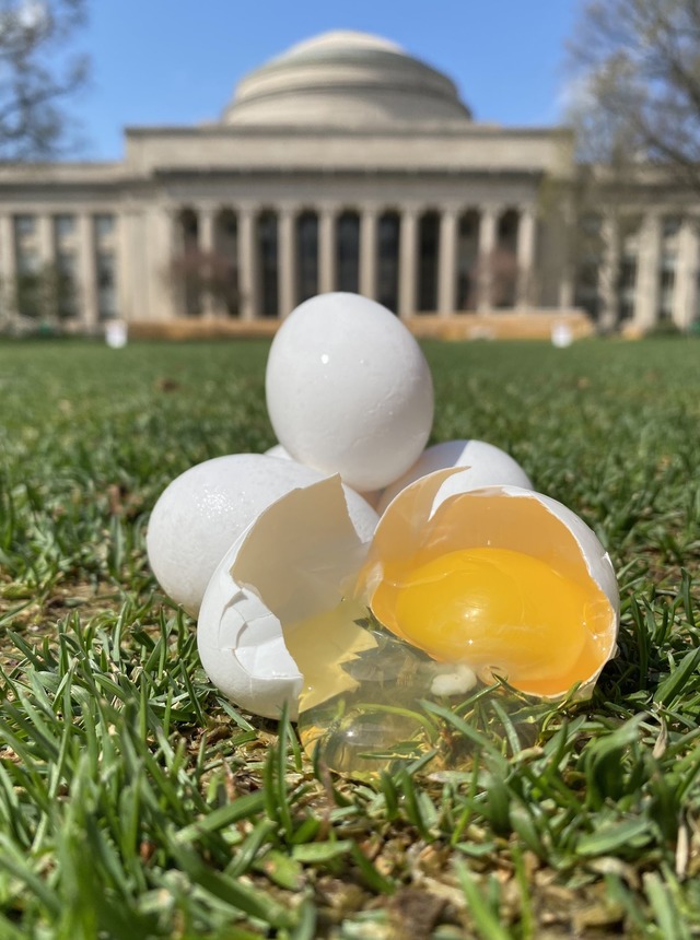 Ist das Kunst oder Wissenschaft? Eier ...ts Institute of Technology in den USA.  | Foto: ---/Tal Cohen et al./dpa