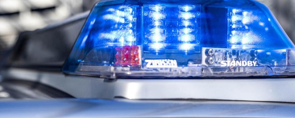 Freilaufender Hund verletzt Mensch und Tier in Waldshut-Tiengen
