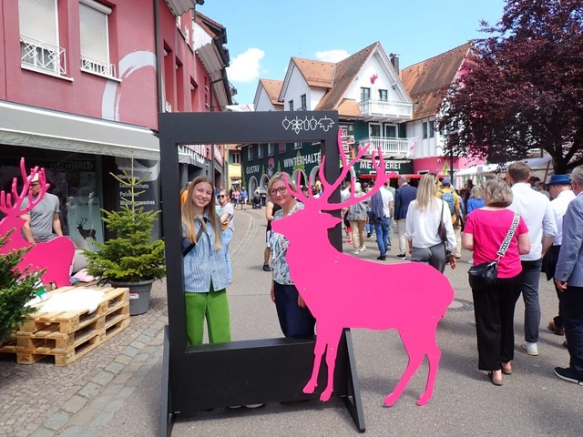 Der pinkfarbene Hirsch war als heimliches Wappentier Elzachs allgegenwärtig. | Foto: Kurt Meier Der pinkfarbene Hirsch war als heimliches Wappentier Elzachs allgegenwärtig. | Foto: Kurt Meier