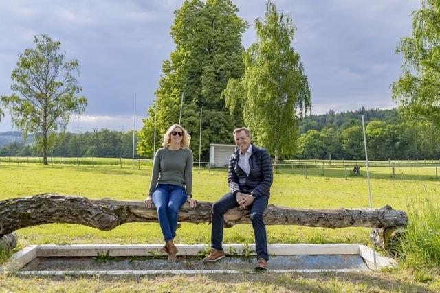 Sdbaden soll durch Reitverein Wiesental-Steinen auf Reitsport-Karte glnzen