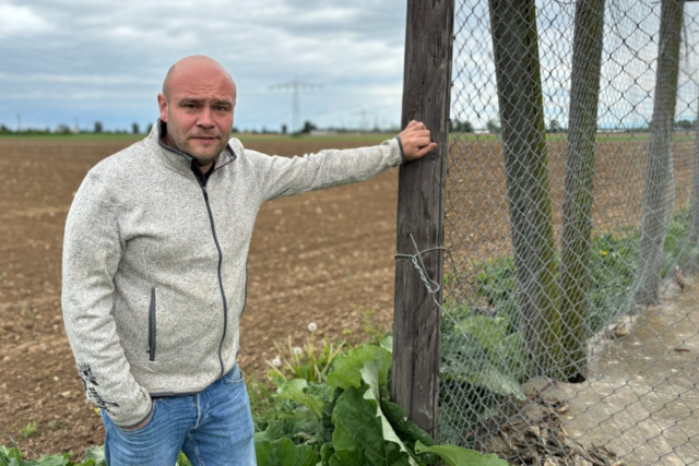 Wie ein Bad Krozinger Mais-Bauer mit Abschssen gegen Schden durch Saatkrhen kmpft