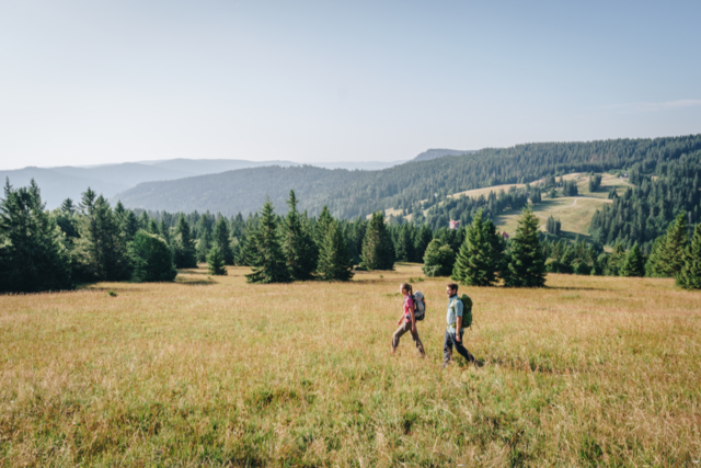 Was Outdoor-Apps in Sdbaden bringen - und wo die Tcken sind