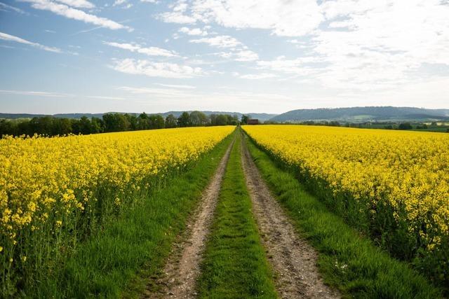 Frhsommerliche Temperaturen in Baden-Wrttemberg – aber auch Bodenfrost