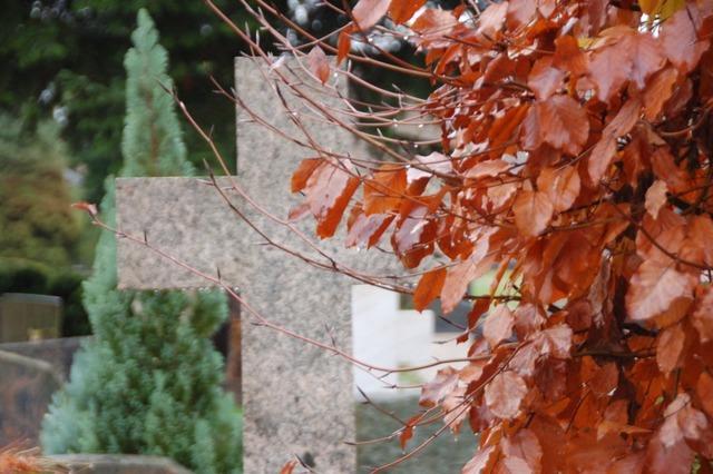 Auf dem Gundelfinger Friedhof fressen Tiere die Pflanzen ab