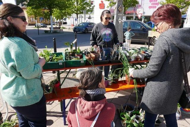 Gartenexperten unter sich