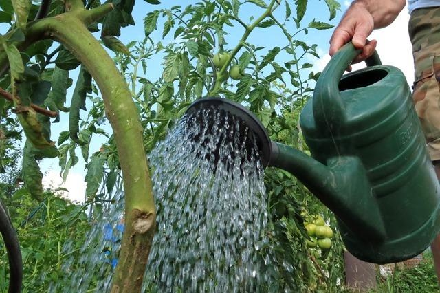 Grundwasserbelastung mit PFAS in Krzell: Wie geht es nun weiter?