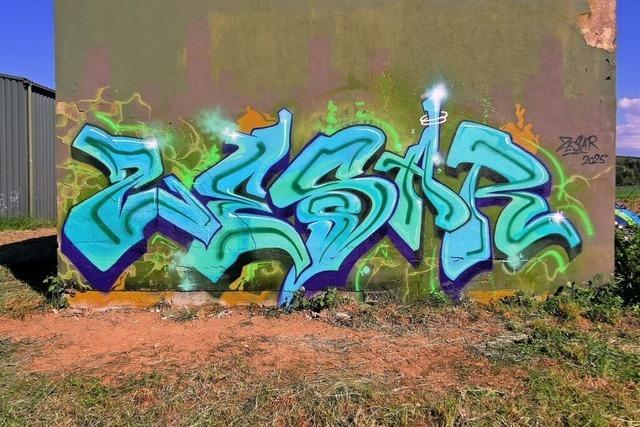 Eine Lahrer Graffiti-Knstlerin hat das frhere Pumpwerk in Lahr-Hugsweier verziert