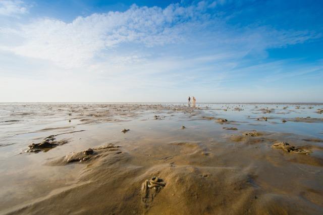 Nach vier Schlaganfllen kmpfte sich diese Offenburgerin zurck -  und fhrt jetzt mit dem Rad zur Nordsee