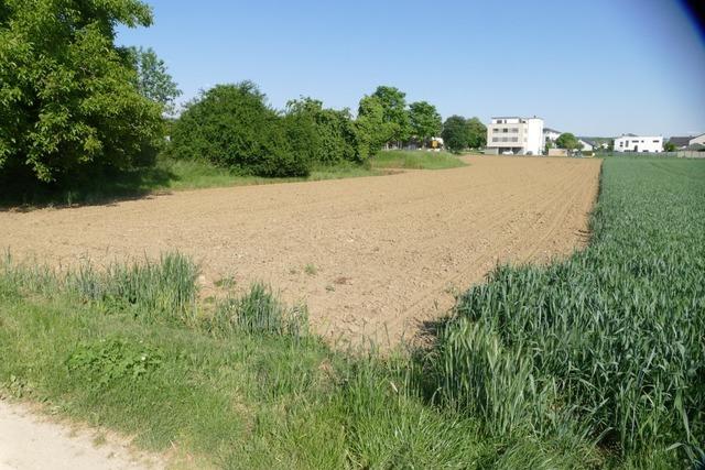 Plne fr Neubauten an der Isteiner Strae in Efringen-Kirchen wurden im Gemeinderat vorgestellt