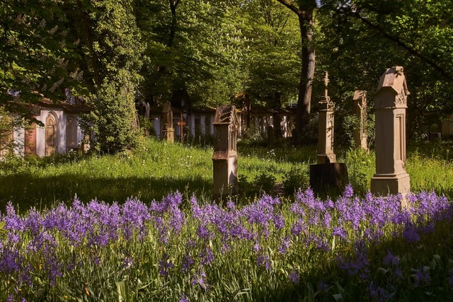 Kontemplativ: der Alte Freiburger Friedhof | Foto: Gerhard Krieger Kontemplativ: der Alte Freiburger Friedhof | Foto: Gerhard Krieger
