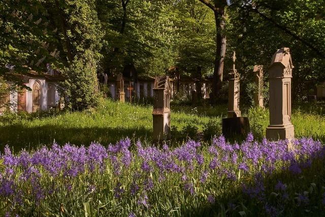 6 besondere Gärten und Parks in Südbaden
