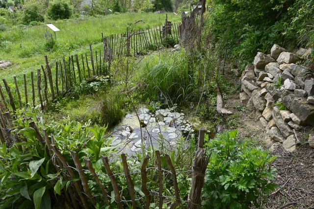 Paradies nicht nur für Wildbienen: Lehrgarten in Opfingen | Foto: Ingo Schneider Paradies nicht nur für Wildbienen: Lehrgarten in Opfingen | Foto: Ingo Schneider