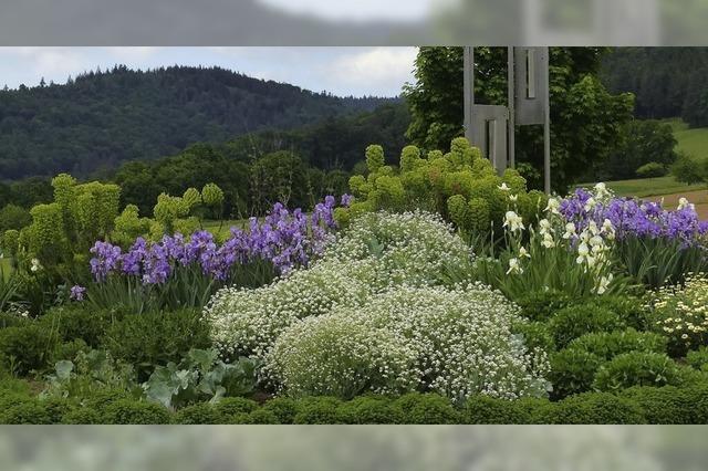 Blumiger Kreisverkehr in Seelbach