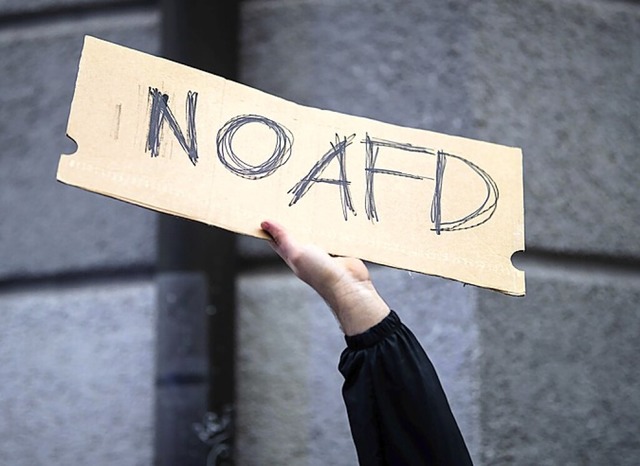 Ein Schild bei einer Demonstration in Ulm im vergangenen Jahr | Foto: Christoph Schmidt (dpa) Ein Schild bei einer Demonstration in Ulm im vergangenen Jahr | Foto: Christoph Schmidt (dpa)
