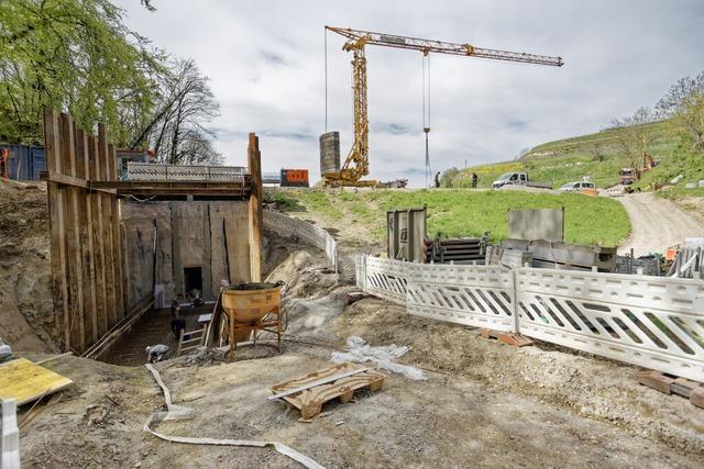 Der Hochwasserschutz wird fr Endingen zum Kraftakt auf Jahre hinaus