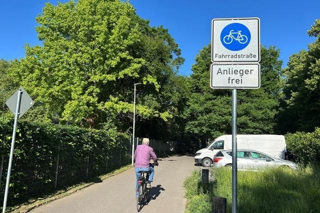 Klare Mehrheit fr zwei neue Fahrradstraen in Lahr