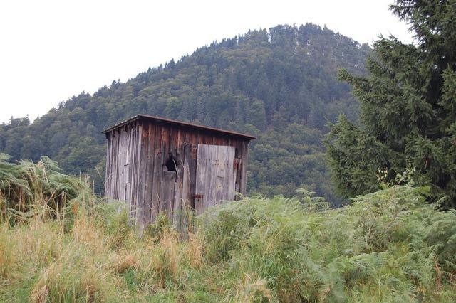 Bald gibt es in Utzenfeld neue Schutzhtte