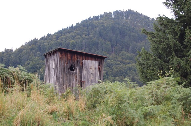 Die Hütte des letzten Viehhirten von Utzenfeld (Archivfoto von 2008) | Foto: Angelika Schmidt Die Hütte des letzten Viehhirten von Utzenfeld (Archivfoto von 2008) | Foto: Angelika Schmidt