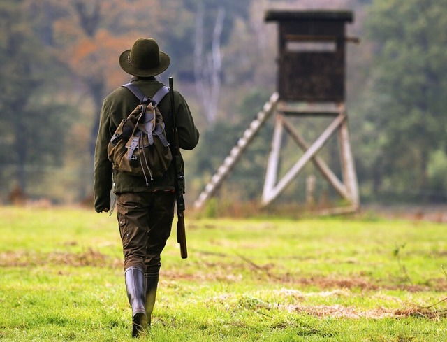 Wer Wald besitzt, muss ihn in der Rege...gd zur Verfgung stellen (Symbolfoto).  | Foto: Philipp Schulze (dpa)
