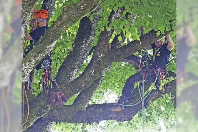 Ehrungen für Retter