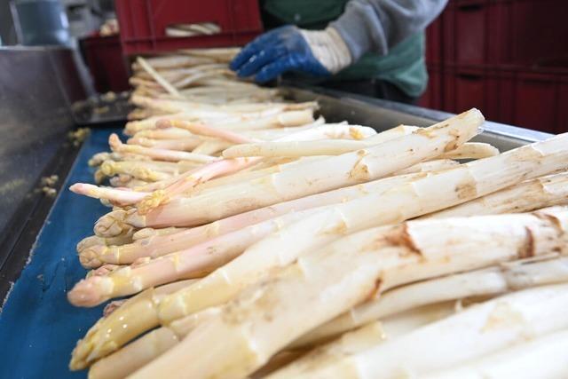 Darum knnen Spargel-Fans jetzt gnstig Spargel einkaufen