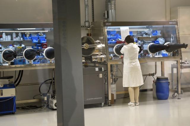 Das Fraunhofer-Institut fr solare Energiesysteme in Freiburg baut nur wenig Personal ab