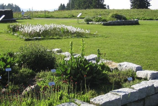 Feldberggarten