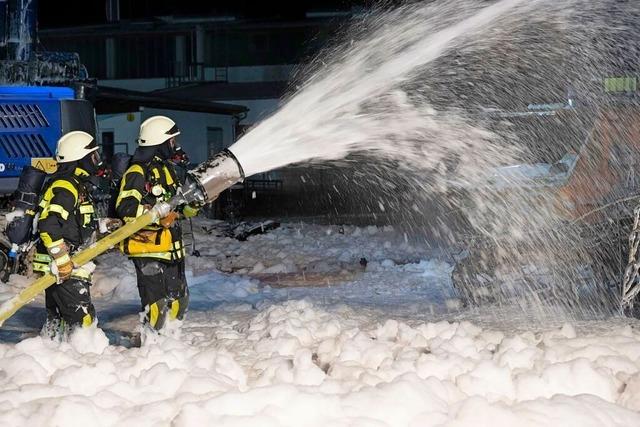 Viele Einstze der Mllheimer Feuerwehr – in breiter Palette