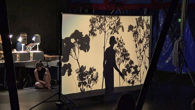 Licht, Farbe, Musik: die Traumwelten d...theaters &#8222;Bewegtelichter&#8220;   | Foto: Dorothee Philipp