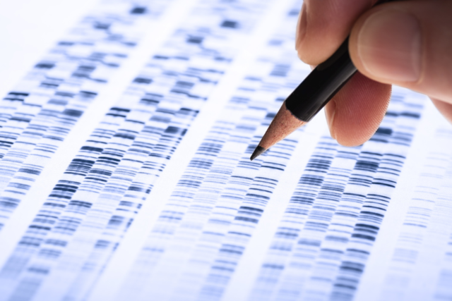 Die Herkunft von Ttern per DNA-Analyse klren? Justizministerin Gentges will das