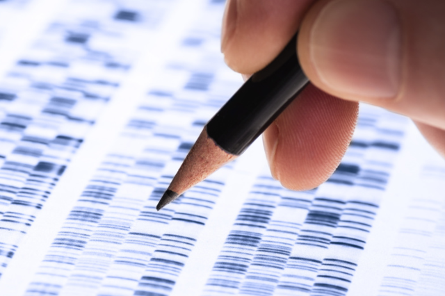 Die Herkunft von Ttern per DNA-Analyse klren? Justizministerin Gentges will das