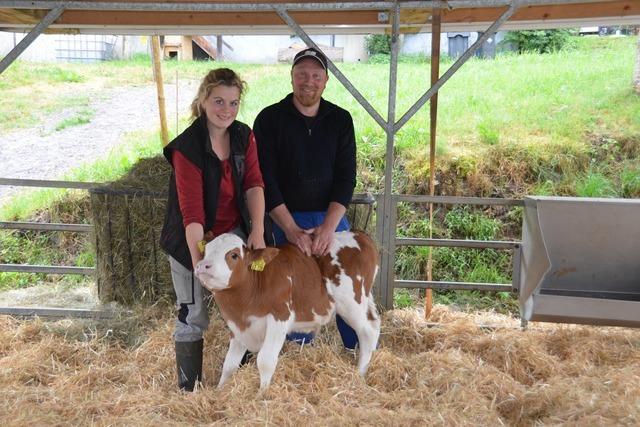 Hilpertenhof (Raitenbuch)