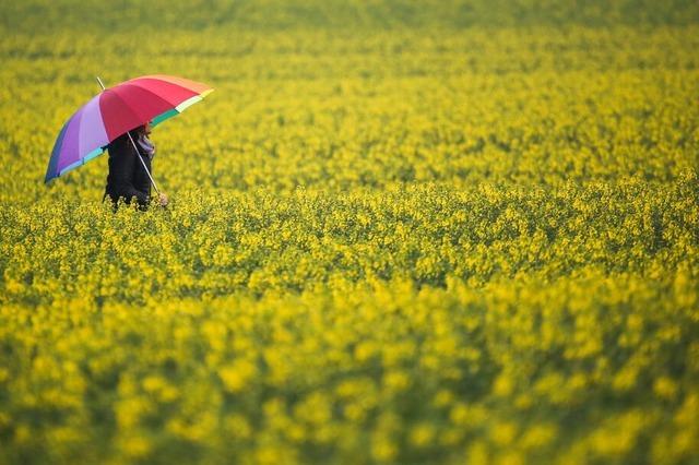 Wetterwechsel in Baden-Wrttemberg – Schauer und Gewitter mglich