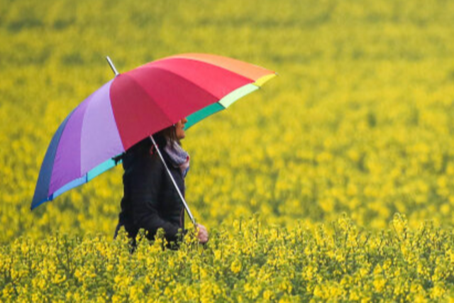 Wetterwechsel im Sdwesten: Schauer und Gewitter mglich