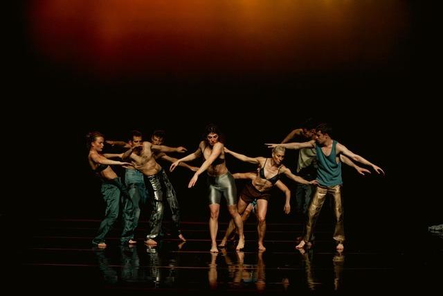 Die belgische Tanzcompagnie Voetvolk kommt mit "Nomadics" nach Freiburg – und wandert zuvor