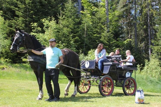 Seelenpferde und Bobbycars bei der Veranstaltung "Spielt mit" in Eisenbach