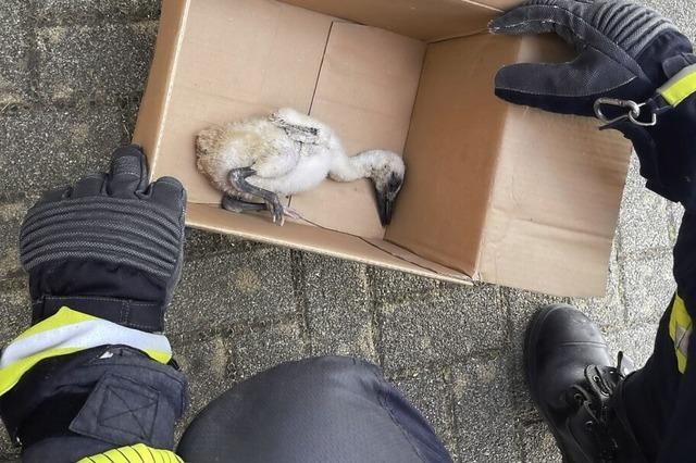 Tierrettung