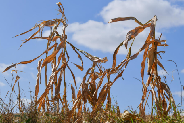 Wetter extrem - wie gut sind Langzeitprognosen wirklich?