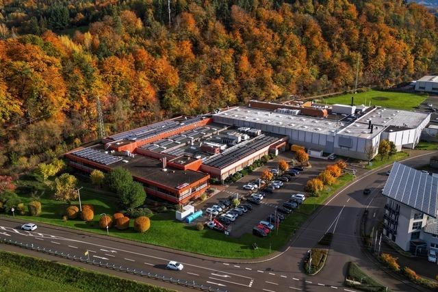 Ins Wrth-Areal? : Fressnapf oder Raiffeisen sind offenbar auf der Suche nach Flchen in Schopfheim