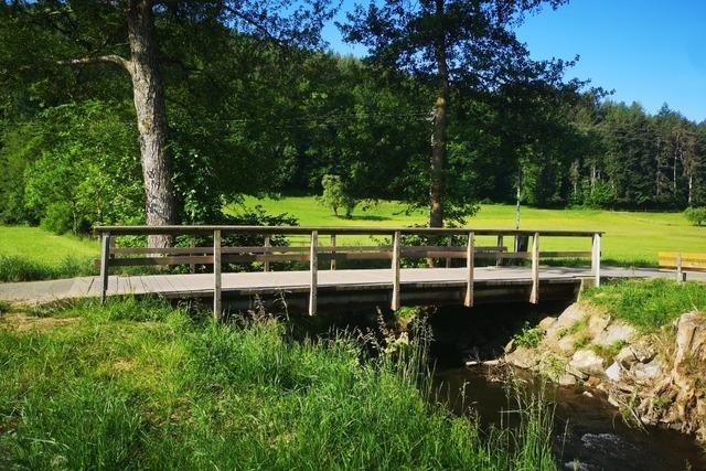 Die Brcken Kruttenau und  Hexenmatt  in Lahr werden saniert
