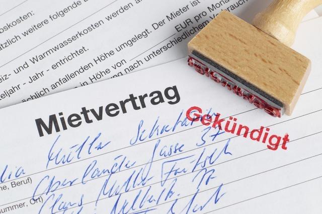 AGJ Wohnungslosenhilfe verhindert 172 Wohnungsverluste im Kreis  Lrrach