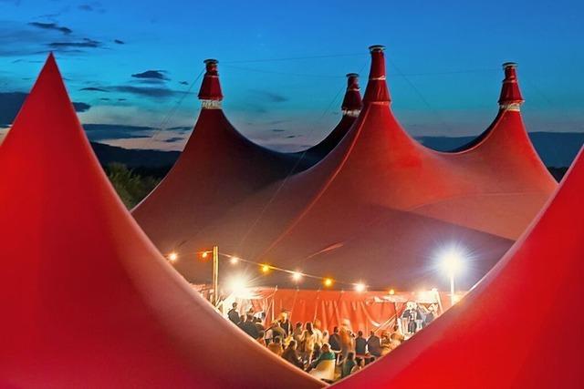 Wir verlosen Tickets fr drei mitreiende ZMF-Konzerte