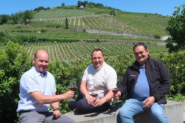 Die Winzergenossenschaft Achkarren nennt sich um in "Achkarrer Winzer am Schlossberg eG" um